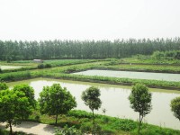 企業(yè)環(huán)境